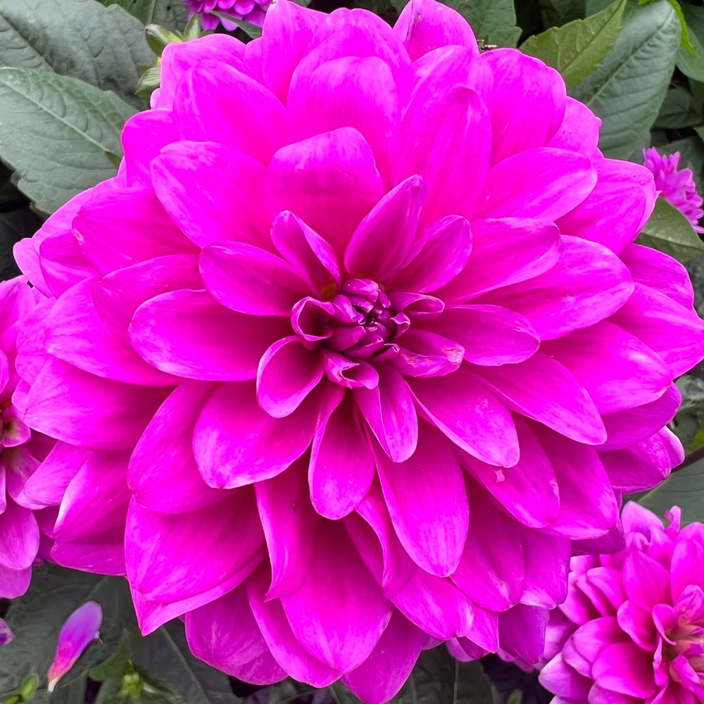 Meet your Posher, Stacey